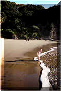 South Piha Beach waters edge and cliff in front of house April evening 2000(150696 bytes)