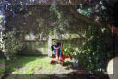Francois levelling the garden (82147 bytes)