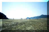 North Piha from lagoon